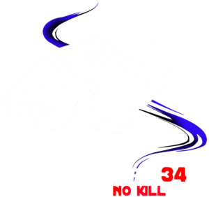 Team Capo 34