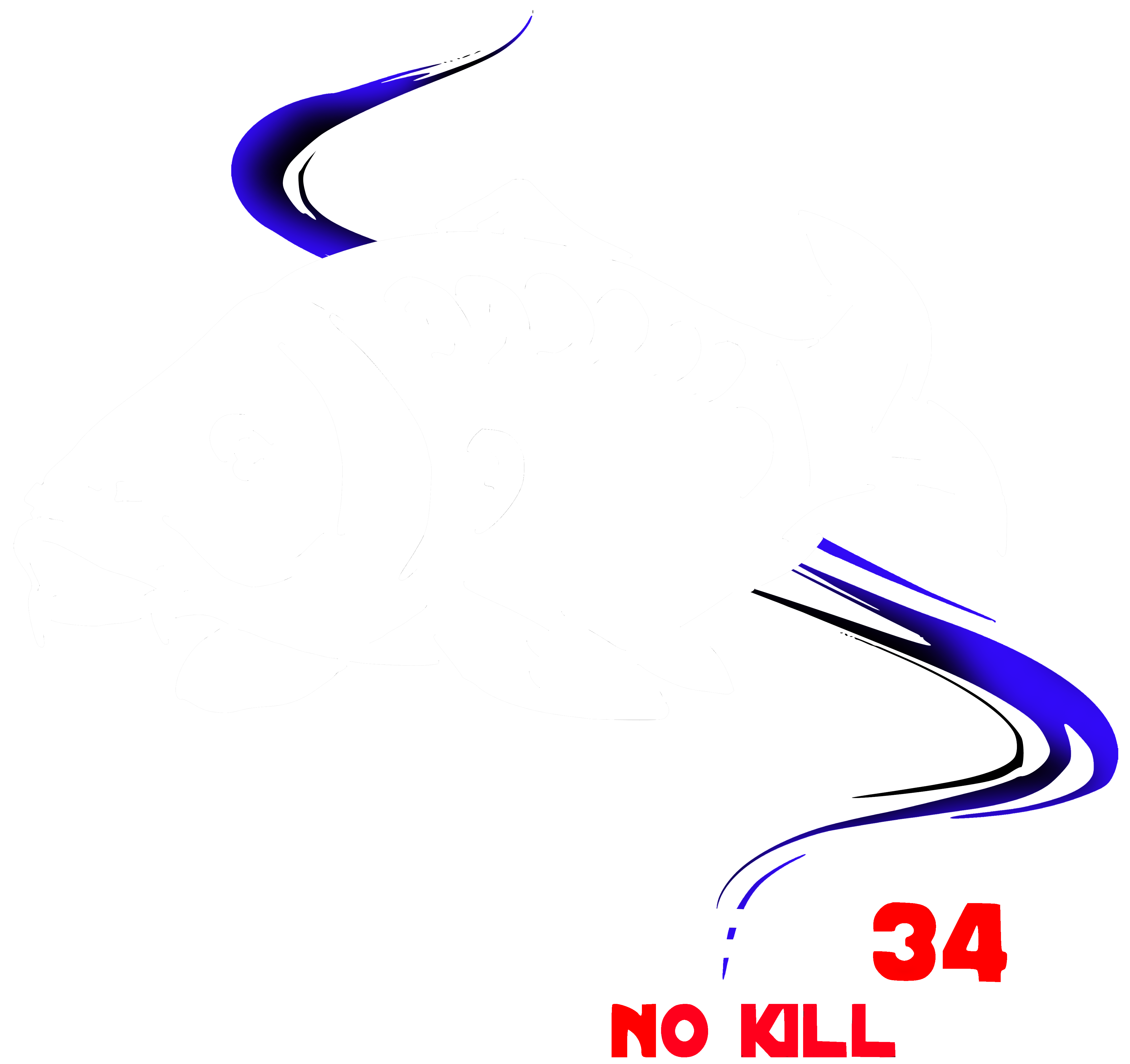 Team Capo 34